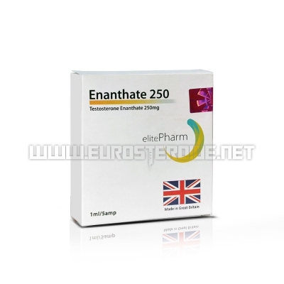 Enanthate 250 - 250mg/ml (1amp) - Elite Pharm