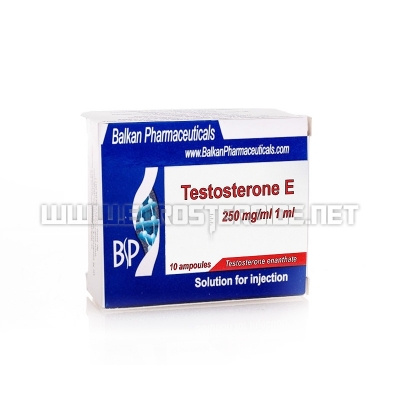 Testosterone E - 250mg/ml (1amp) - Balkan Pharmaceuticals