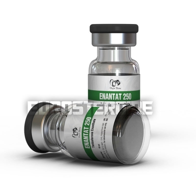 Enantat 250 - Dragon-Pharma - 250mg/ml (10ml vial)