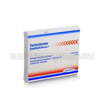 Testosterone Enanthate - 250mg/ml (1amp) - Norma Greece