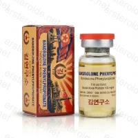 Nandrolone Phenylpropionate 100mg/ml 10ml Vial von Kim Pharma