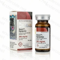 Quant-Equipoise 300mg/ml 10ml Vial von Beligas Pharmaceuticals