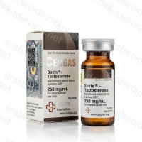Suste-Testosterone 250mg 250mg/ml 10ml Vial von Beligas Pharmaceuticals