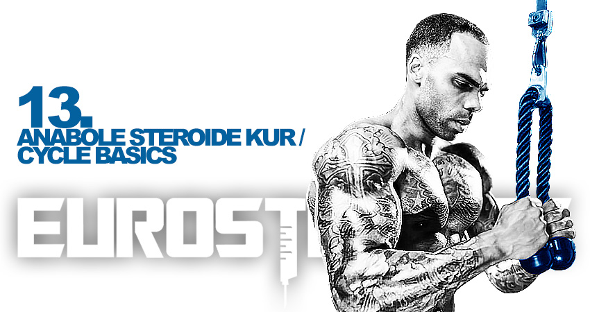 Anabole Steroide Kur - Cycle Basics